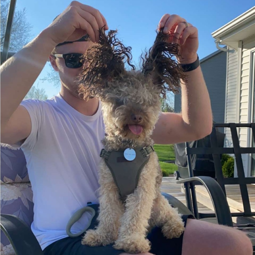 Meet your Posher, Marcus